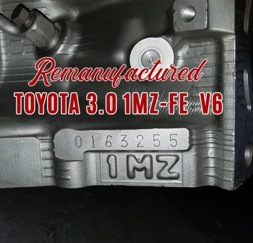 Toyota 3.0 1MZ Model Stamp